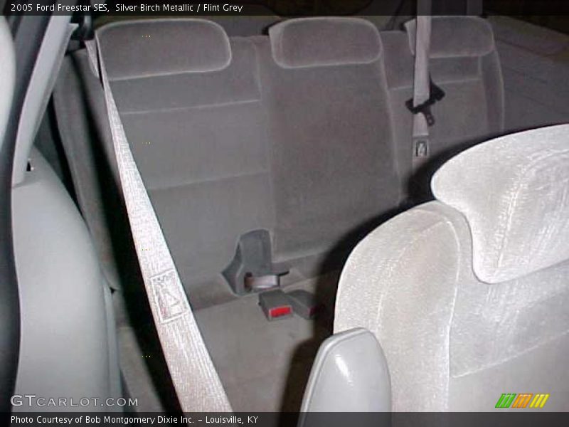 Silver Birch Metallic / Flint Grey 2005 Ford Freestar SES