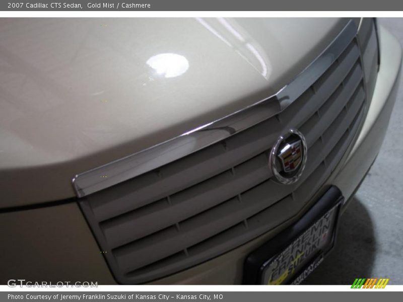 Gold Mist / Cashmere 2007 Cadillac CTS Sedan