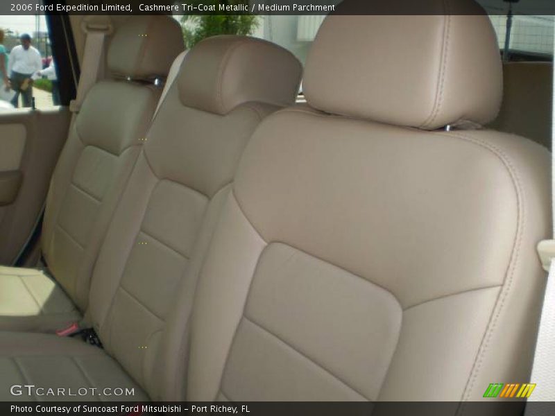 Cashmere Tri-Coat Metallic / Medium Parchment 2006 Ford Expedition Limited