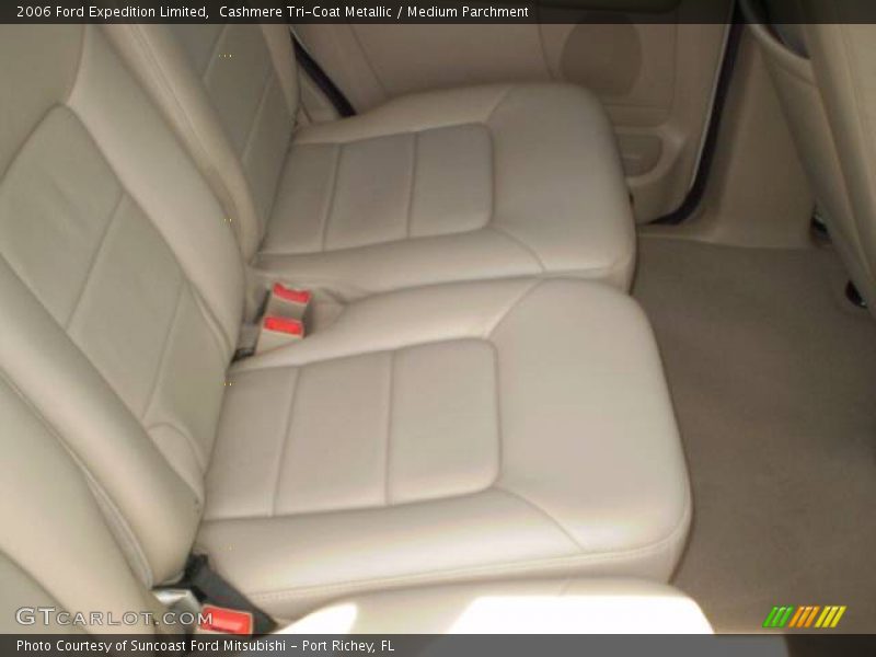 Cashmere Tri-Coat Metallic / Medium Parchment 2006 Ford Expedition Limited