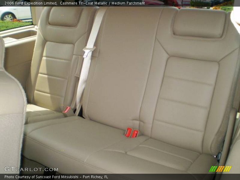 Cashmere Tri-Coat Metallic / Medium Parchment 2006 Ford Expedition Limited