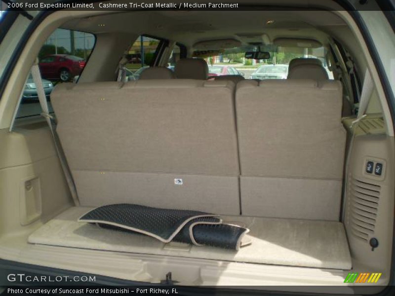 Cashmere Tri-Coat Metallic / Medium Parchment 2006 Ford Expedition Limited