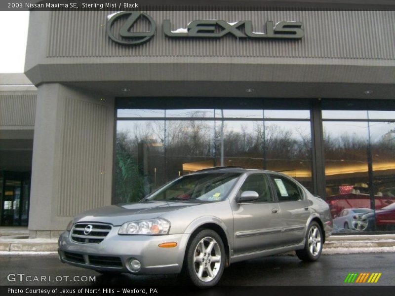 Sterling Mist / Black 2003 Nissan Maxima SE