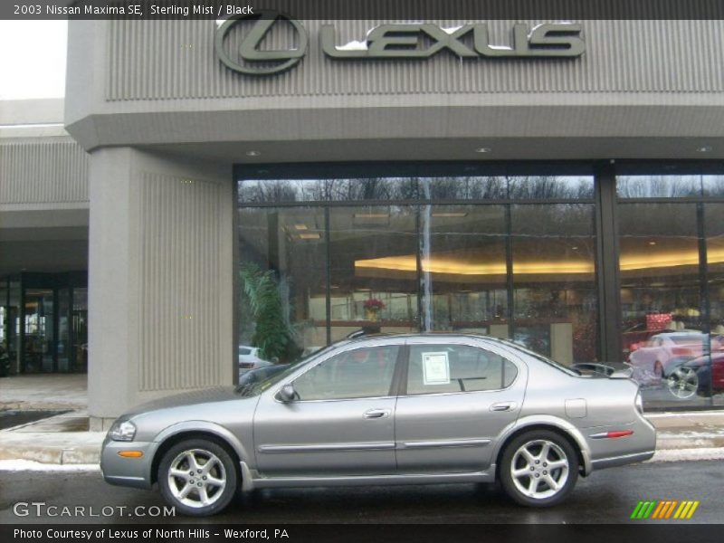 Sterling Mist / Black 2003 Nissan Maxima SE