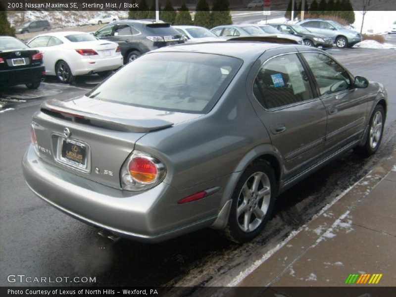 Sterling Mist / Black 2003 Nissan Maxima SE