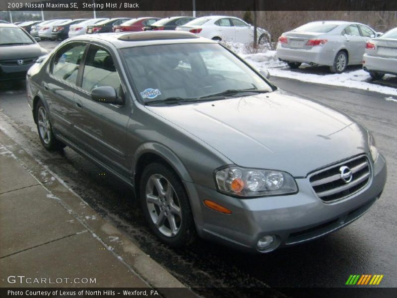 Sterling Mist / Black 2003 Nissan Maxima SE