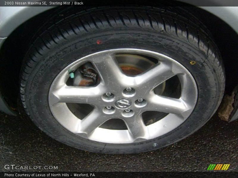 Sterling Mist / Black 2003 Nissan Maxima SE