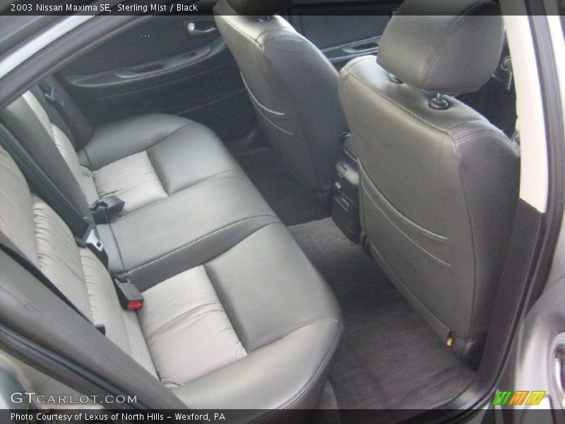 Sterling Mist / Black 2003 Nissan Maxima SE