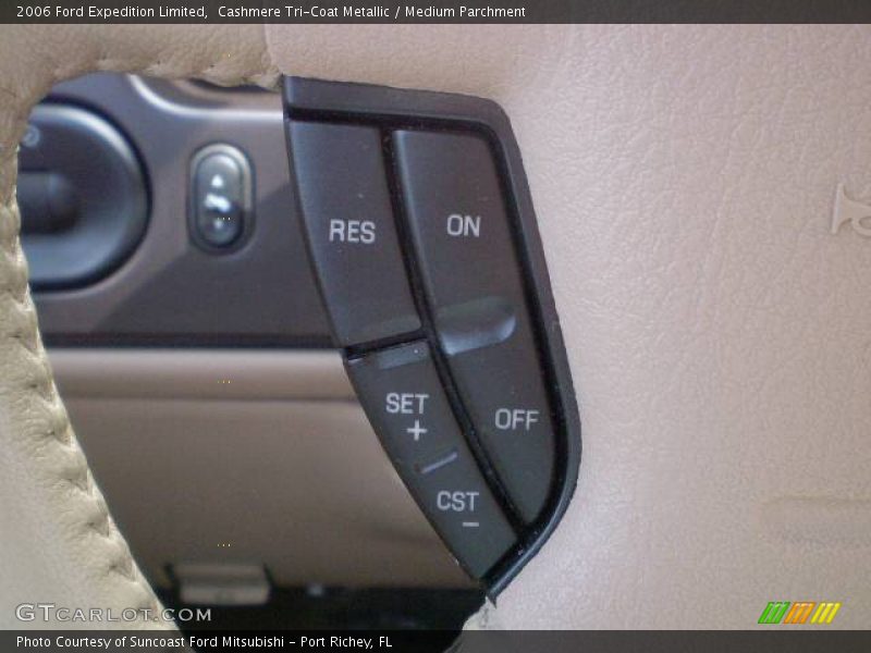 Cashmere Tri-Coat Metallic / Medium Parchment 2006 Ford Expedition Limited