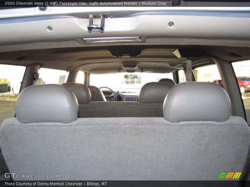 Light Autumnwood Metallic / Medium Gray 2000 Chevrolet Astro LS AWD Passenger Van