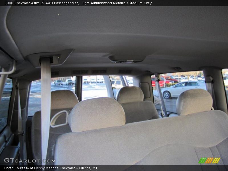 Light Autumnwood Metallic / Medium Gray 2000 Chevrolet Astro LS AWD Passenger Van