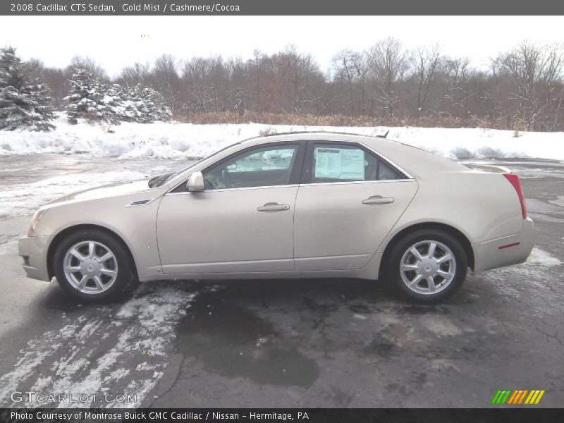 Gold Mist / Cashmere/Cocoa 2008 Cadillac CTS Sedan