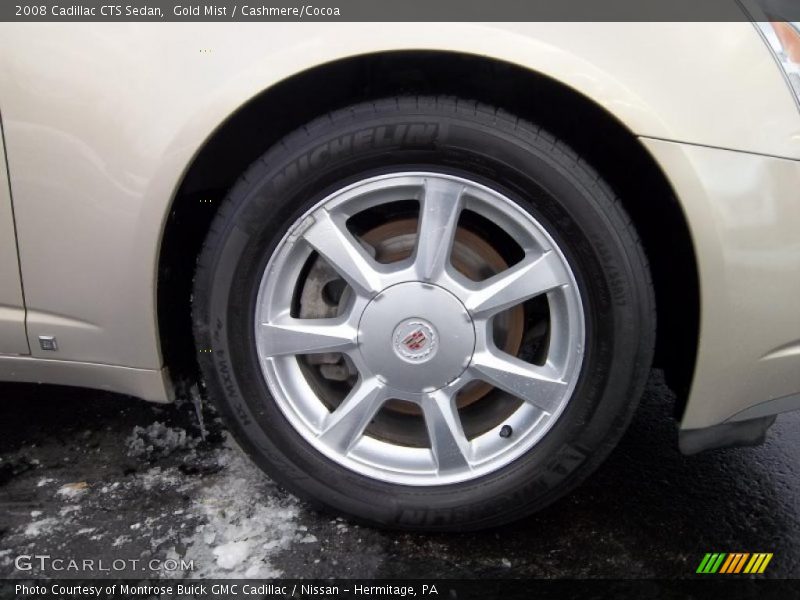 Gold Mist / Cashmere/Cocoa 2008 Cadillac CTS Sedan