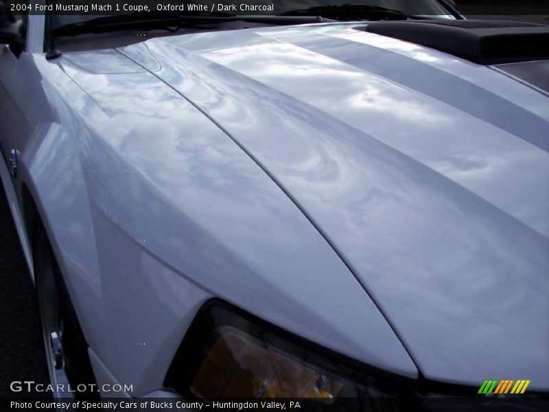 Oxford White / Dark Charcoal 2004 Ford Mustang Mach 1 Coupe