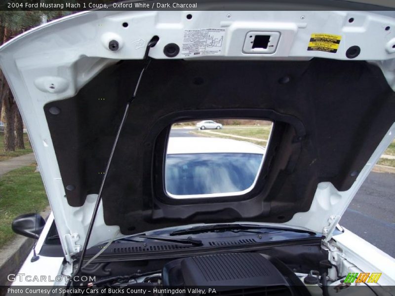 Oxford White / Dark Charcoal 2004 Ford Mustang Mach 1 Coupe