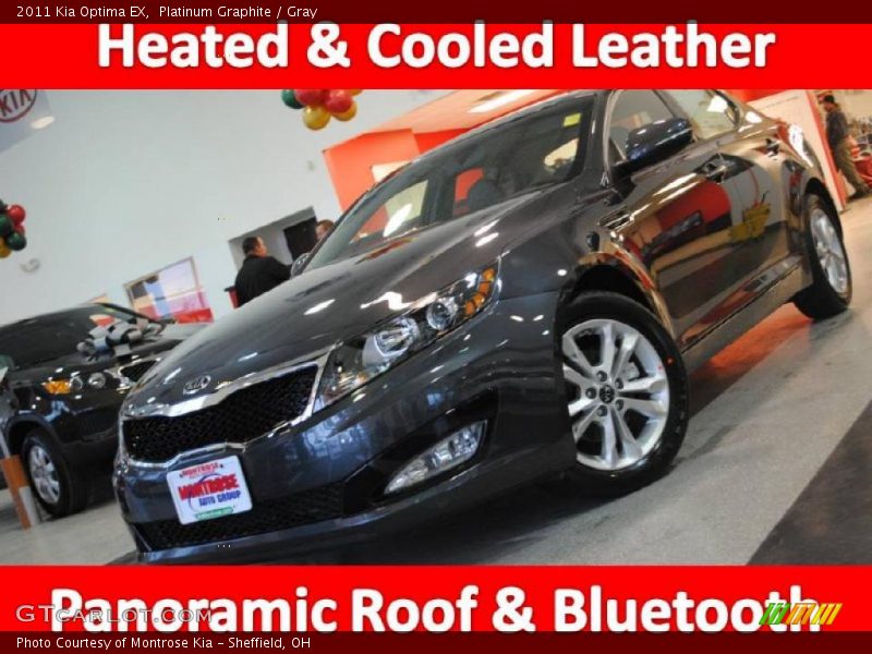 Platinum Graphite / Gray 2011 Kia Optima EX