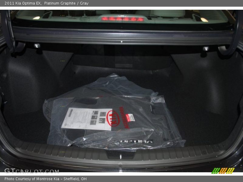 Platinum Graphite / Gray 2011 Kia Optima EX