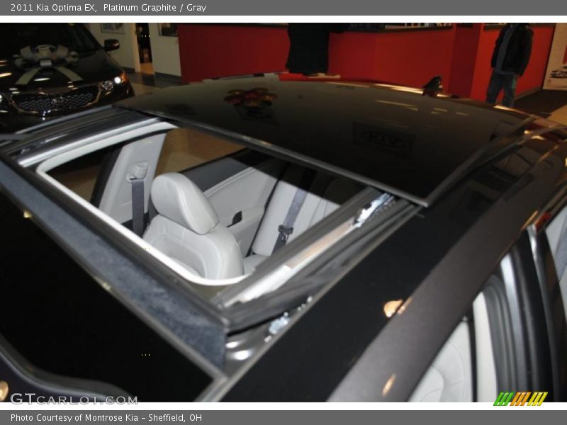 Platinum Graphite / Gray 2011 Kia Optima EX