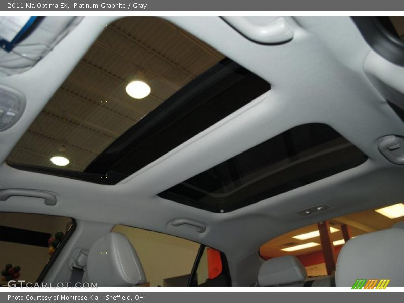 Platinum Graphite / Gray 2011 Kia Optima EX