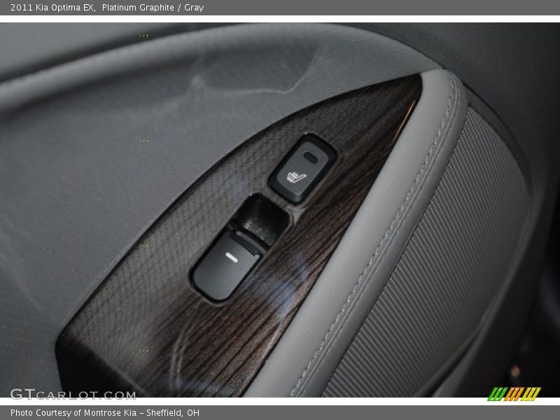 Platinum Graphite / Gray 2011 Kia Optima EX
