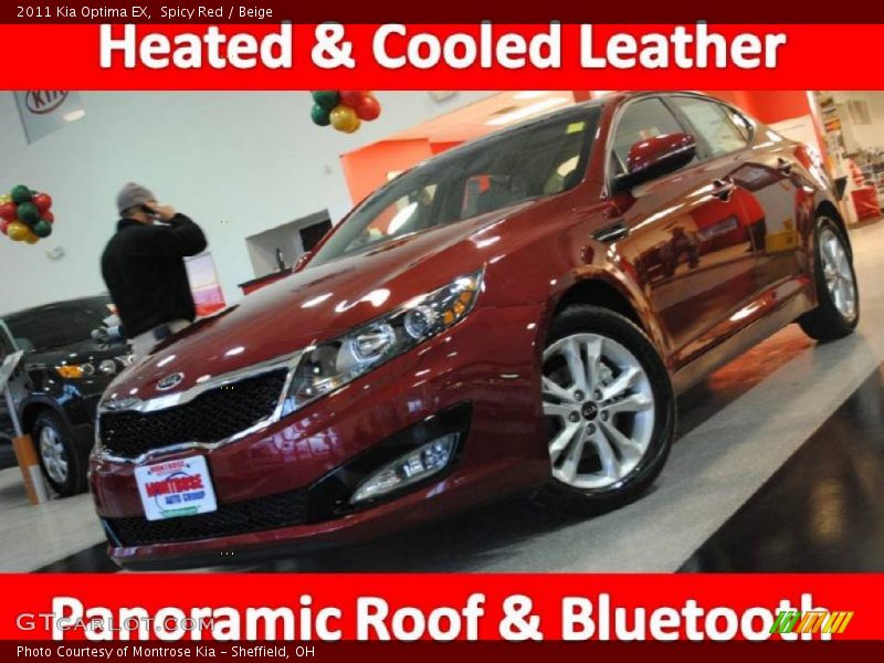Spicy Red / Beige 2011 Kia Optima EX