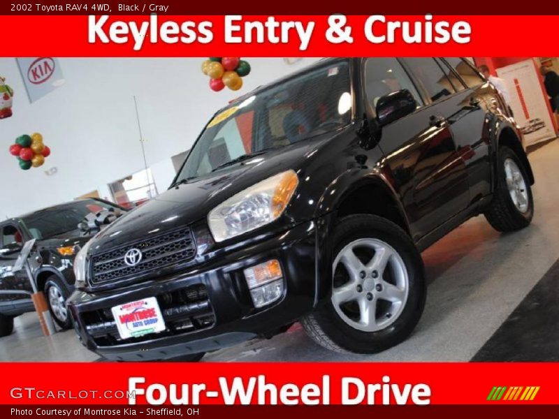 Black / Gray 2002 Toyota RAV4 4WD