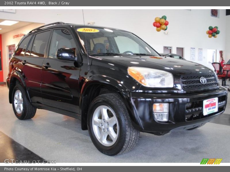 Black / Gray 2002 Toyota RAV4 4WD