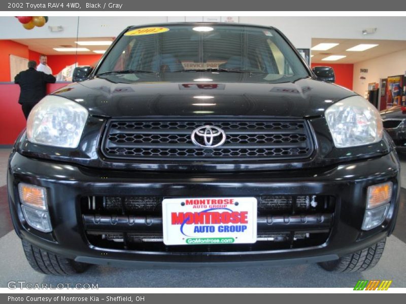 Black / Gray 2002 Toyota RAV4 4WD