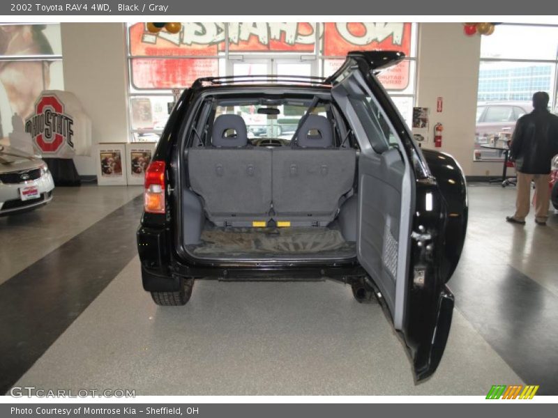 Black / Gray 2002 Toyota RAV4 4WD