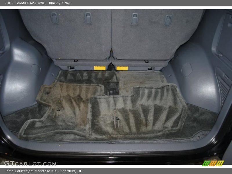 Black / Gray 2002 Toyota RAV4 4WD