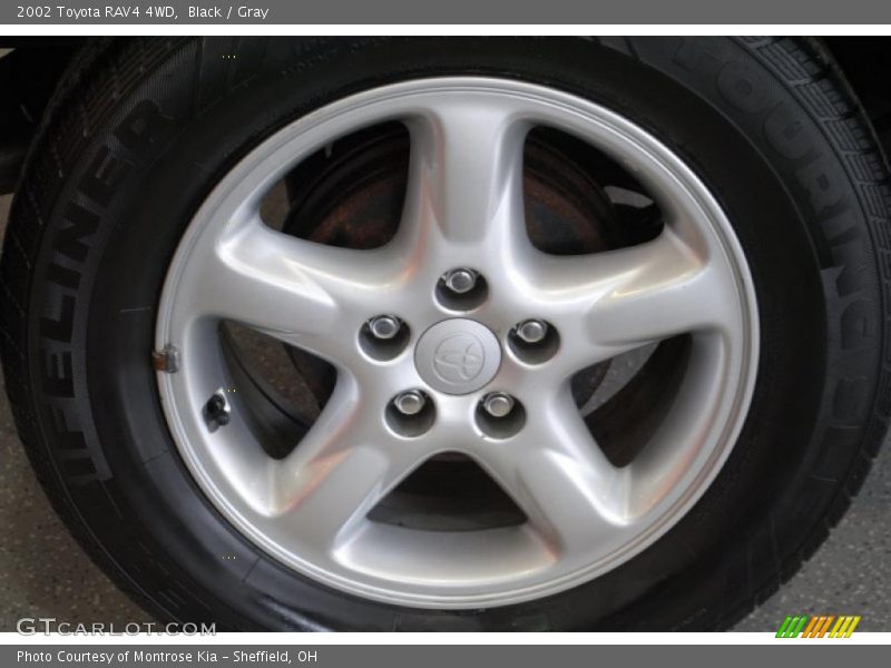 Black / Gray 2002 Toyota RAV4 4WD