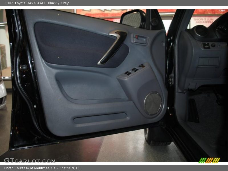Black / Gray 2002 Toyota RAV4 4WD