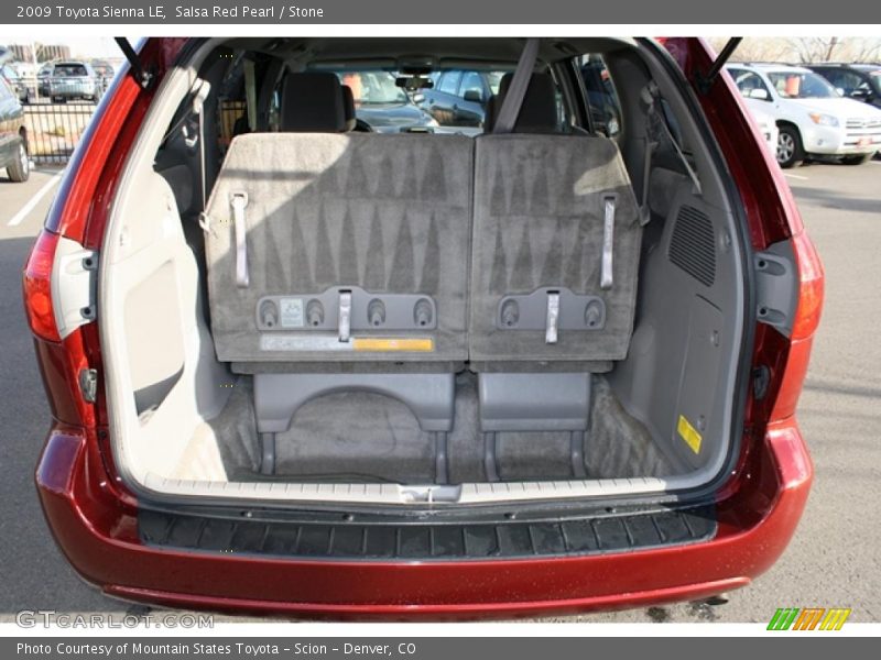 Salsa Red Pearl / Stone 2009 Toyota Sienna LE