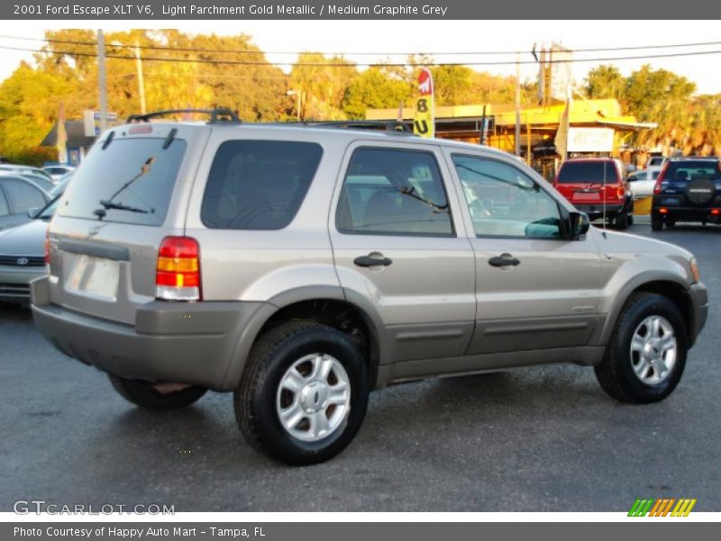 Light Parchment Gold Metallic / Medium Graphite Grey 2001 Ford Escape XLT V6