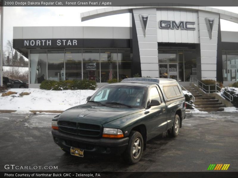 Forest Green Pearl / Agate 2000 Dodge Dakota Regular Cab