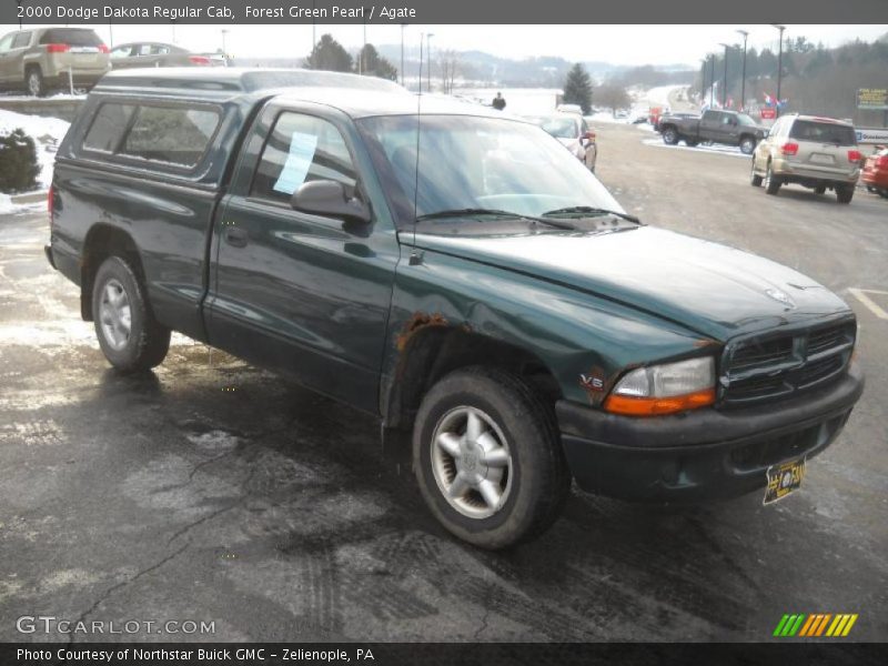 Forest Green Pearl / Agate 2000 Dodge Dakota Regular Cab