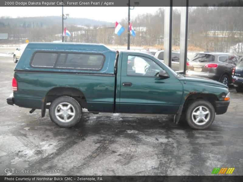 Forest Green Pearl / Agate 2000 Dodge Dakota Regular Cab