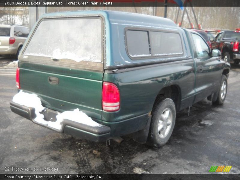 Forest Green Pearl / Agate 2000 Dodge Dakota Regular Cab