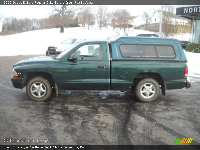 Forest Green Pearl / Agate 2000 Dodge Dakota Regular Cab