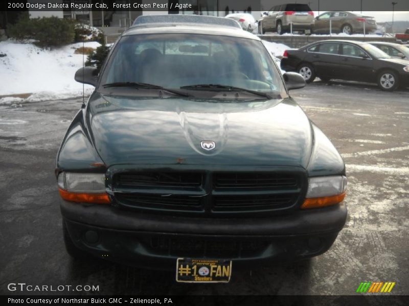 Forest Green Pearl / Agate 2000 Dodge Dakota Regular Cab