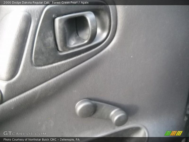 Forest Green Pearl / Agate 2000 Dodge Dakota Regular Cab