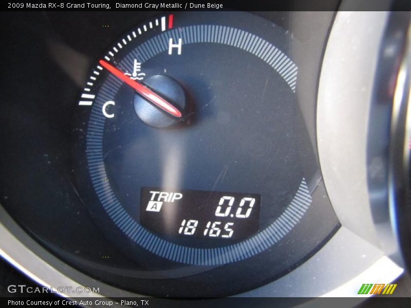 Diamond Gray Metallic / Dune Beige 2009 Mazda RX-8 Grand Touring