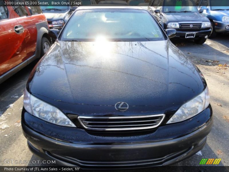 Black Onyx / Sage 2000 Lexus ES 300 Sedan