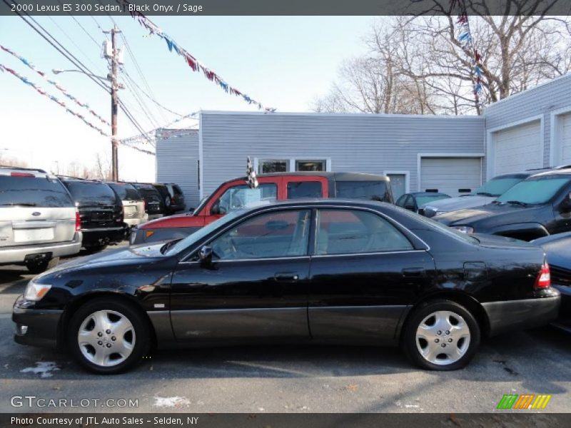 Black Onyx / Sage 2000 Lexus ES 300 Sedan