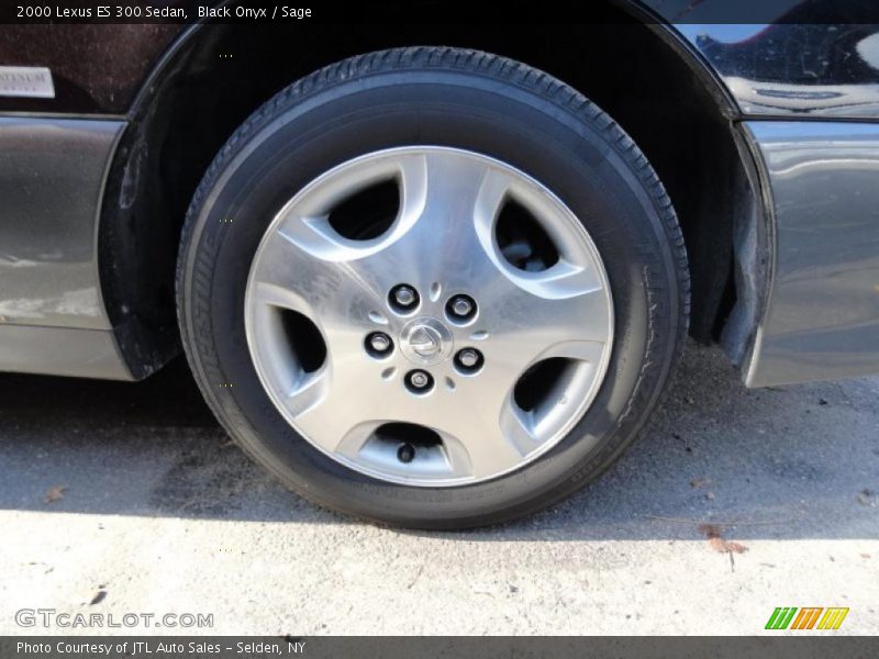 Black Onyx / Sage 2000 Lexus ES 300 Sedan
