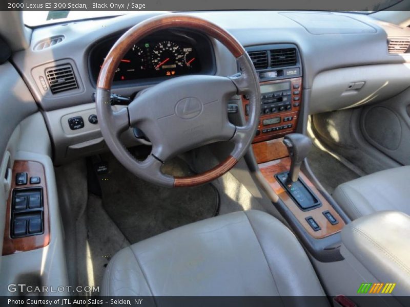 Black Onyx / Sage 2000 Lexus ES 300 Sedan