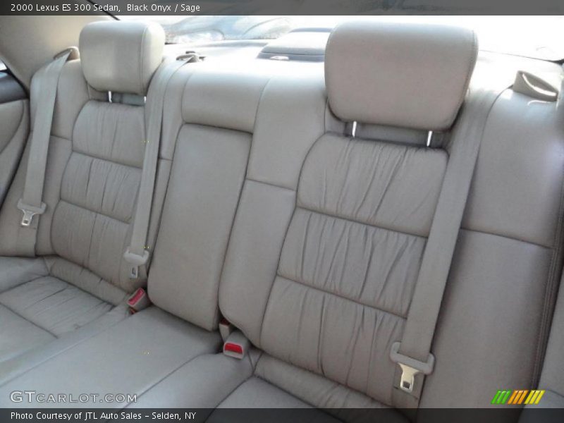 Black Onyx / Sage 2000 Lexus ES 300 Sedan