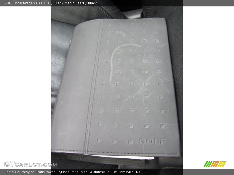 Black Magic Pearl / Black 2003 Volkswagen GTI 1.8T