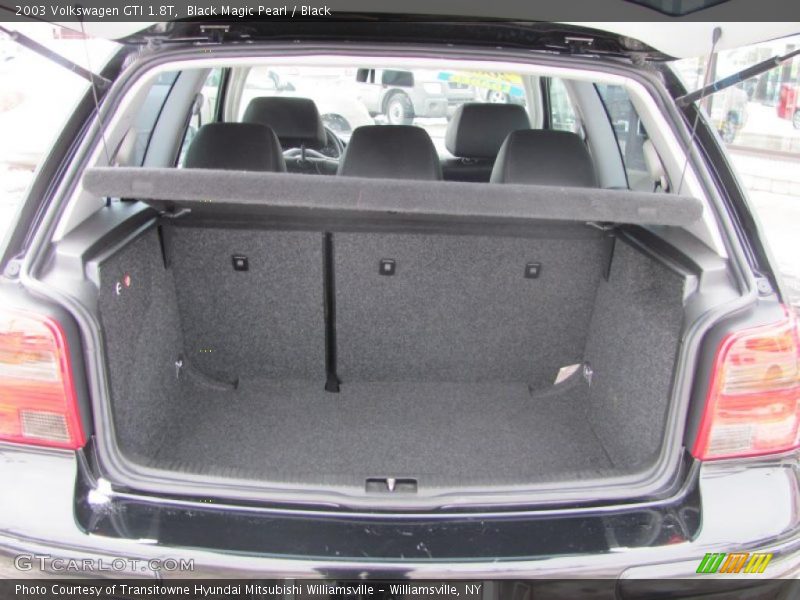 Black Magic Pearl / Black 2003 Volkswagen GTI 1.8T