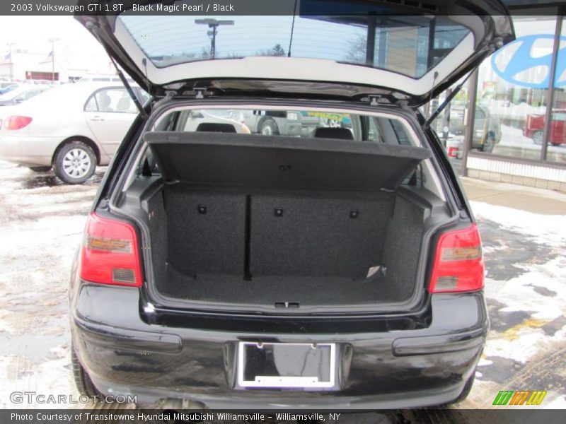 Black Magic Pearl / Black 2003 Volkswagen GTI 1.8T